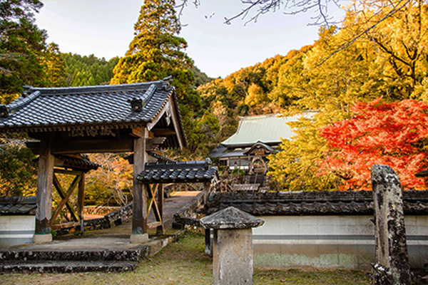 新しく供養をお願いする寺院・霊園から納骨許可書をもらう
