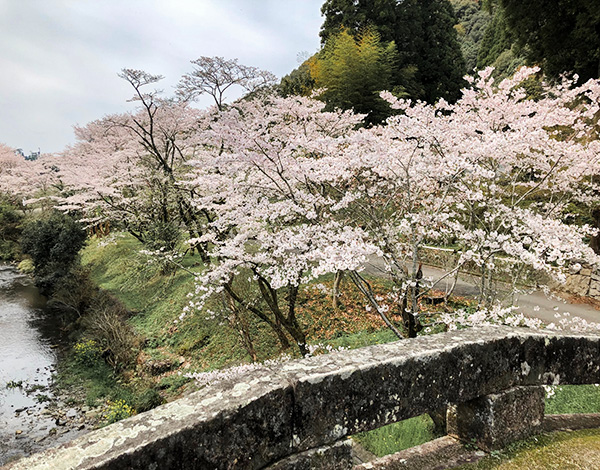 墓じまいのことは石水寺にご相談ください