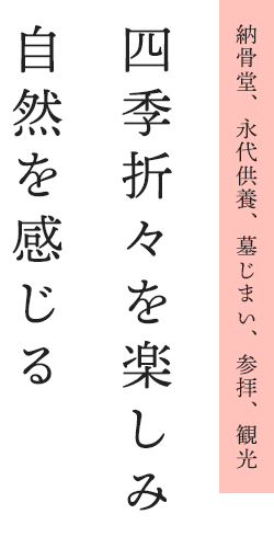 納骨堂、永代供養、墓じまい、参拝、観光 四季折々を楽しみ 自然を感じる
